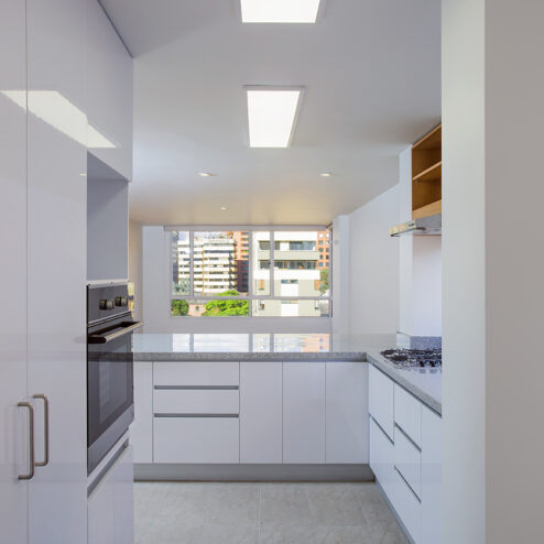 Cocina: torre de hornos, despensa y módulo de nevera